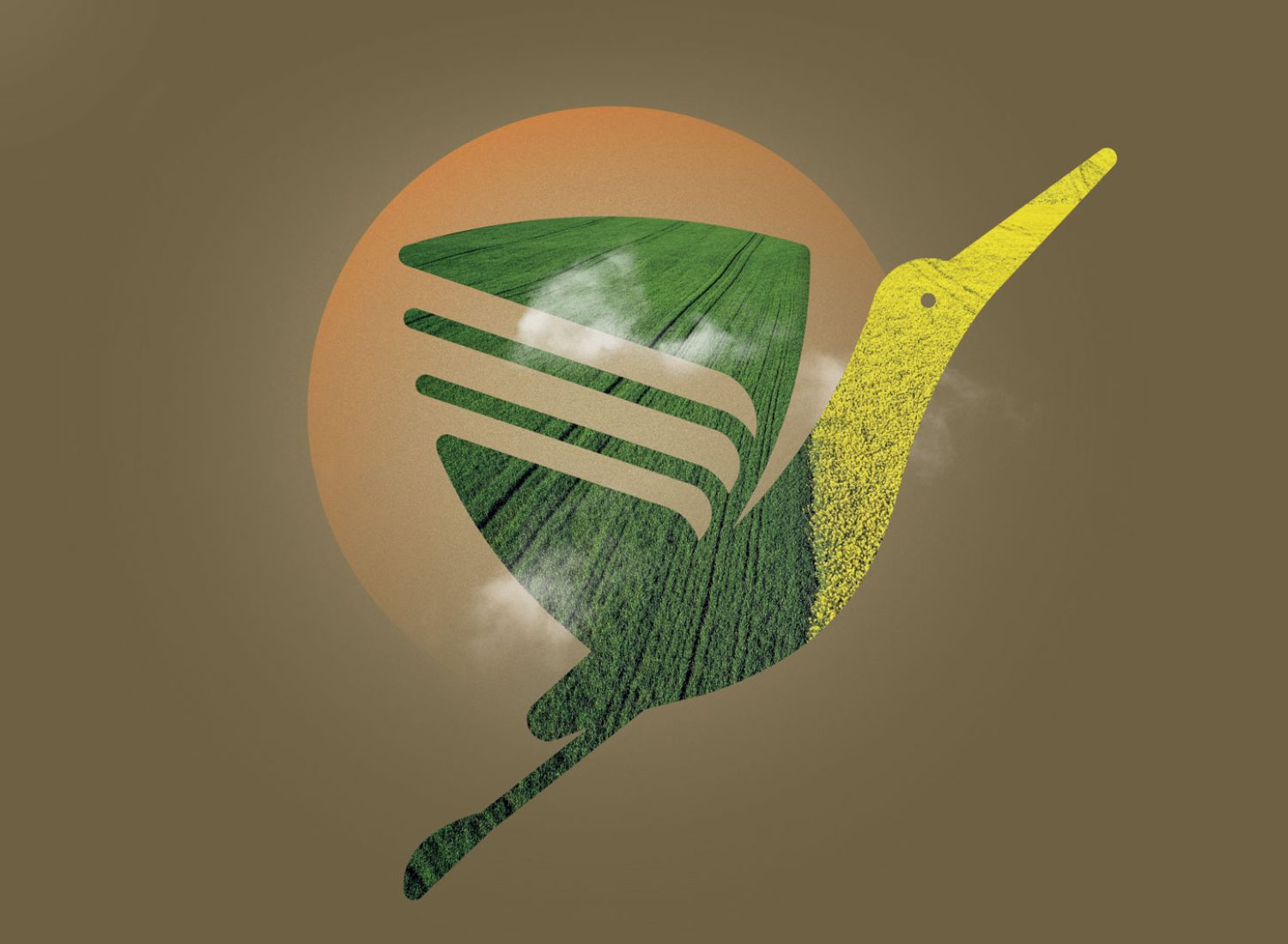 Kshema-Brand-Book---New-1